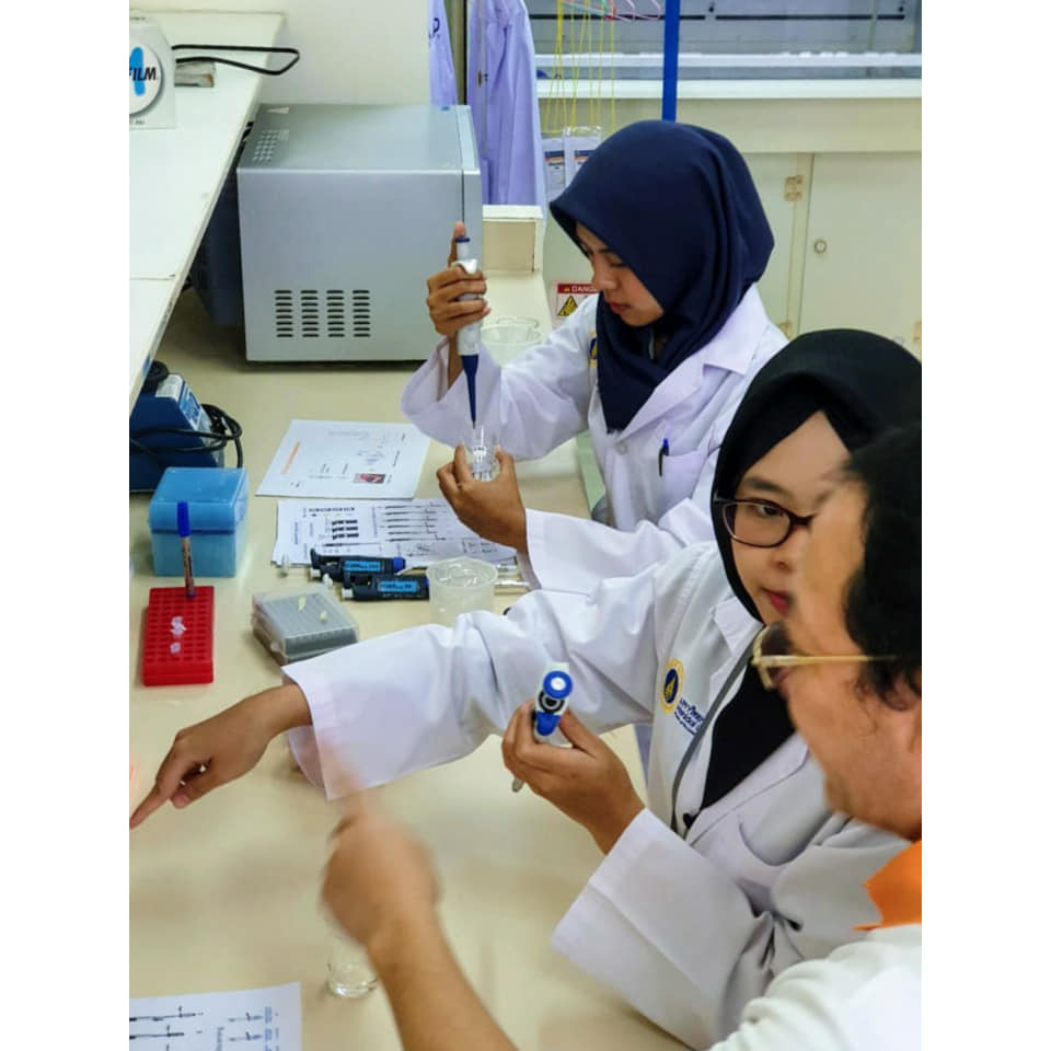 lab2.jpg
